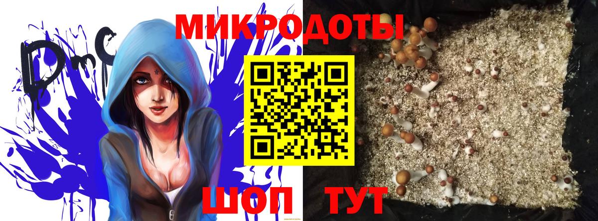 Псилоцибиновые грибы мицелий Алейск
